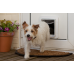 SureFlap Microchip Pet Door 'Connect' - wooden fitting (including batteries) SureFlap Microchip Pet Door 'Connect' - wooden fitting (including batteries)
